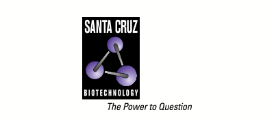 SANTA  CRUZ
