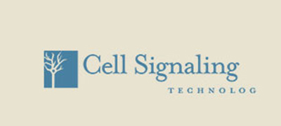 Cell Signaling
